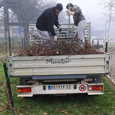 odnošenje granja Beograd